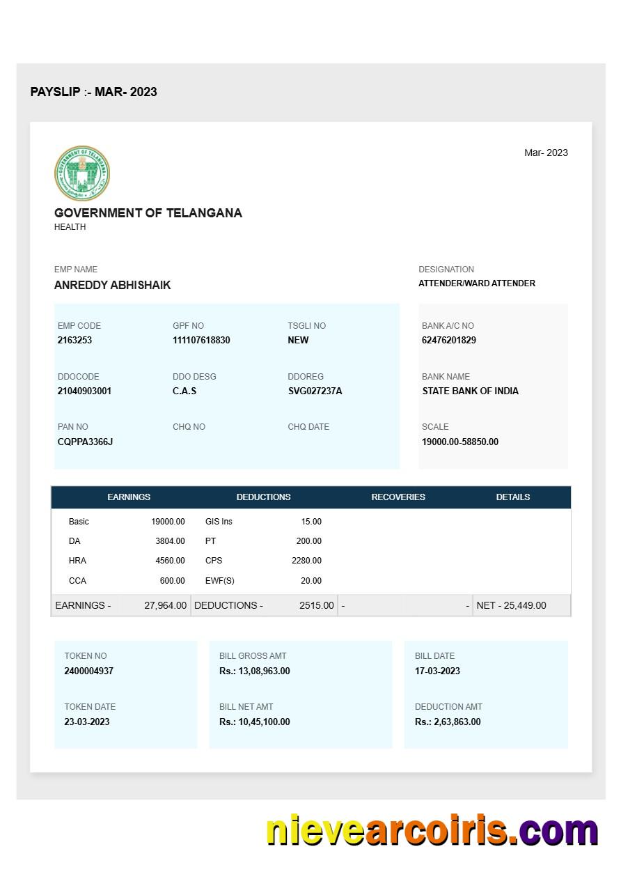 Government of Telangana payslip